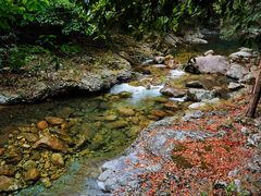 -祁门牯牛降观音堂风景区
