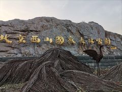 -北京西山国家森林公园