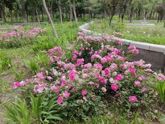 -仰山公园