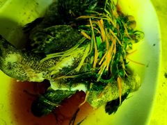 -南沙辉记烧鸡·荔枝木炭火吊烧(旧镇店)