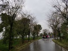 -鹅湖玫瑰文化园