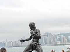 -星光大道