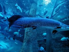 -成都浩海立方海洋公园