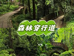 -凤栖山
