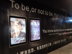 -银兴国际影城(星汇维港店)