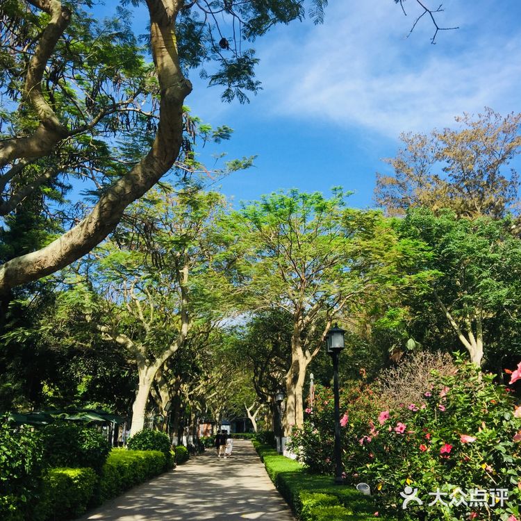 晴天下的鼓浪屿