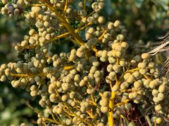 -南京金牛湖风景区