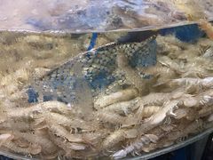 -鑫渔港海鲜本地菜·山海关浑锅(东戴河店)