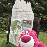如果你要在这几个月期间出行，一定要提前预定住宿