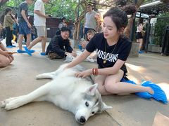 -TrueLove @ Neverland (Husky Cafe)