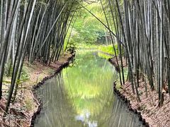 -同里国家湿地公园
