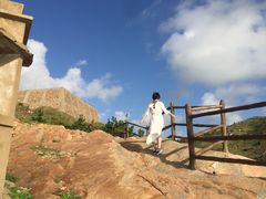 -枸杞岛