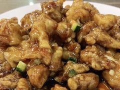 -林之六八·6886大连老菜馆
