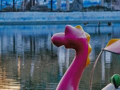 -团结湖公园