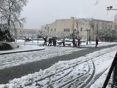 -小四川菜馆(托乐嘉店)