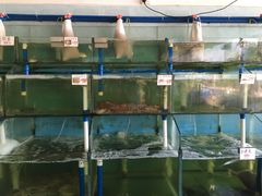 -叶姐海鲜(棋子湾店)