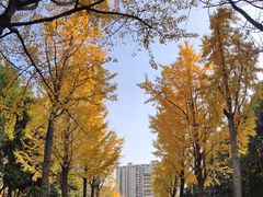 -苏州河梦清园环保主题公园