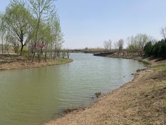 -东郊湿地公园
