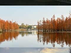 -白鹭湾湿地公园