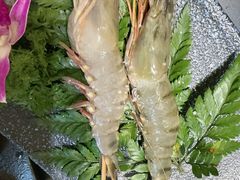 -柔杉家黑牛烤肉·活鳗鱼(太原街店)