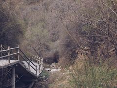 -太平万花山景区