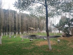 -艾溪湖湿地公园