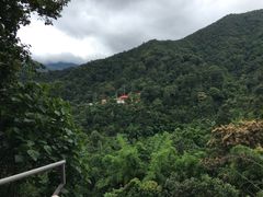 -清迈丛林飞跃 JungleFlight