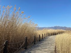 -野鸭湖国家湿地公园