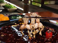 -三道苗苗鱼·美蛙黄辣丁(八里店)