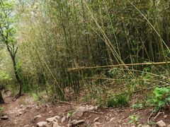 -安吉龙王山风景区