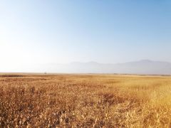 -野鸭湖国家湿地公园