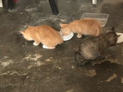 -时光转角咖啡馆(西康路店)