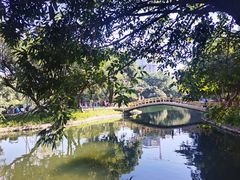-晓港公园