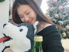 -星多哈·狗咖·拼豆·咖啡