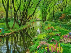 -上海共青森林公园