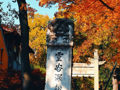 -灵谷景区
