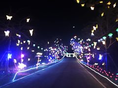 -梁鸿国家湿地公园