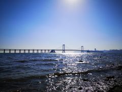 -星海湾跨海大桥