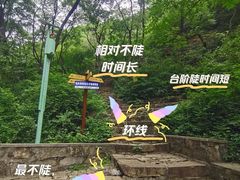 -老象峰