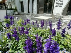-白噪音White Noise·798概念店