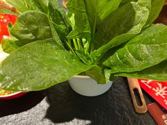 -熊喵来了火锅·牧场好肉(邯郸邯山万达店)
