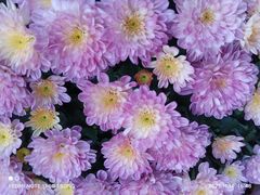 -螃蟹岬(地铁站)