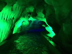 -泰安地下龙宫景区