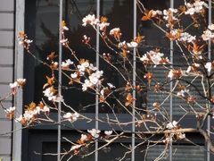 -三义和酒楼(千佛山店)