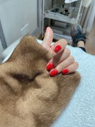-BELLAREAL新美社
