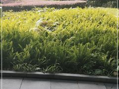 -阿哈湖国家湿地公园