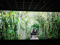 -兰州华夏星光影城(安宁店)