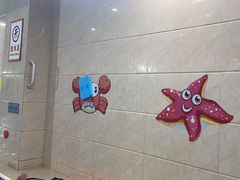 -小蓝鲸游泳培训基地(积水潭店)