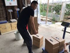 -马陆小张葡萄园农家乐