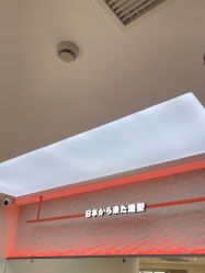 -和良形象
